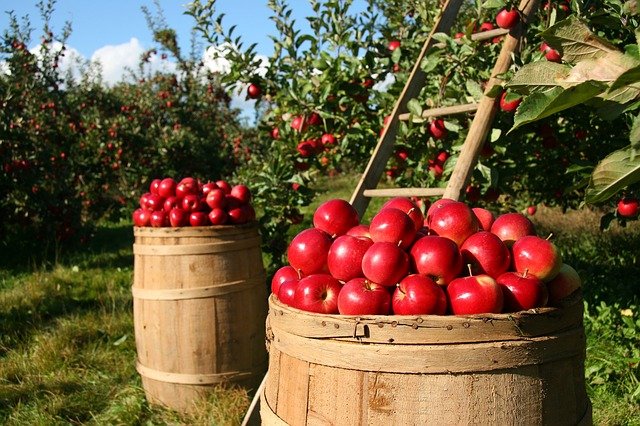 Agriculture & Produce