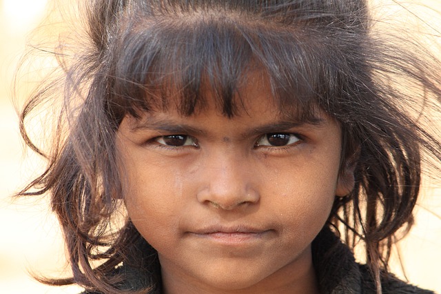 NGOs