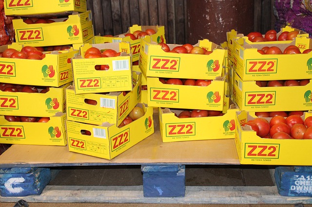 Supply & Distribution